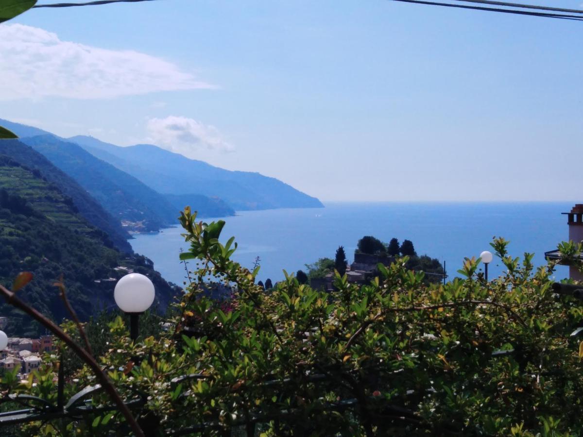 La Cabana Cinque Terre Monterosso Monterosso al Mare Luaran gambar