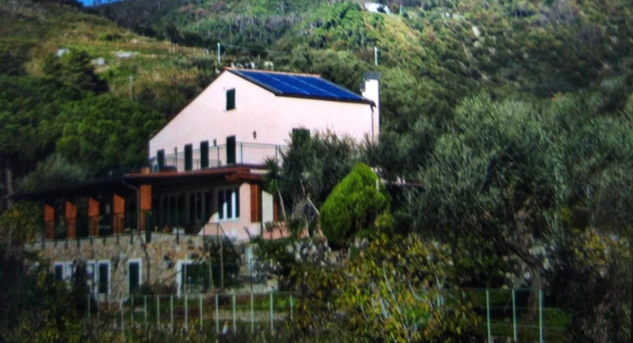 La Cabana Cinque Terre Monterosso Monterosso al Mare Luaran gambar